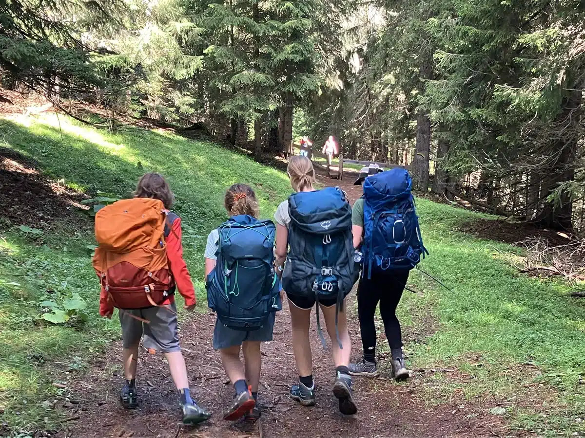A real photograph of a child walking on a wooded trail wearing long sleeves and long pants, seen from behind on a sunny day