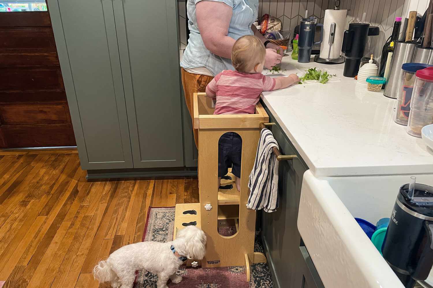 Toddler Nosebleeds: Causes and How to Stop Them