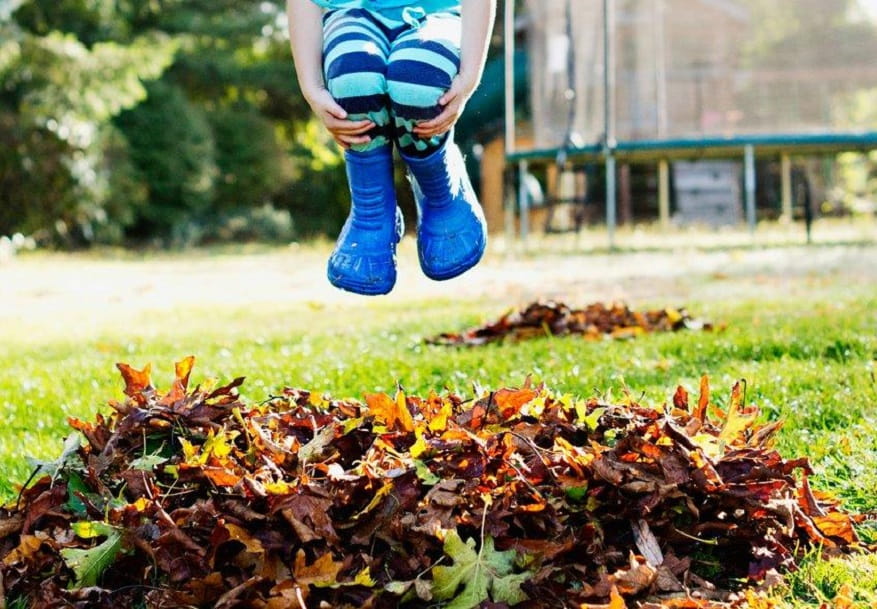 A toddler playing in a backyard near a pile of damp fallen leaves on an early fall day, candid outdoor photo