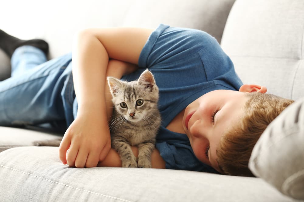 A young child gently petting a small kitten on a living room floor while an adult watches nearby